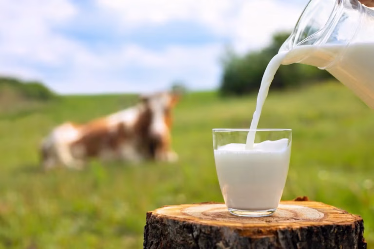 A Natural Solution for People Who Cannot Drink Cow Milk